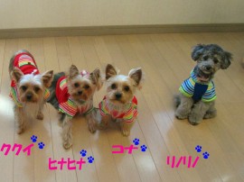 HOA KALUA誕生記念DAY !