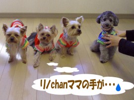 HOA KALUA誕生記念DAY !
