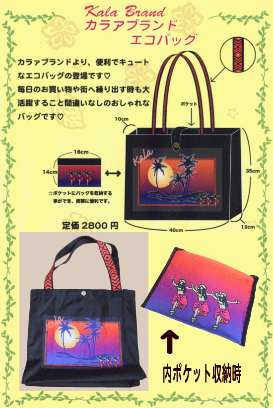 エコbagイメージ