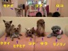 HOA KALUAメンバー全員集合!