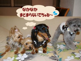Hoa Kalua ミニ・イベント 開催しました!