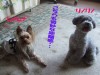 Hoa Kalua ミニ・イベント 開催しました!