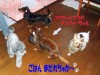 Hoa Kalua ミニ・イベント 開催しました!