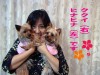 HOA KALUAメンバー全員集合!