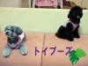 HOA KALUAメンバー全員集合!