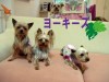 HOA KALUAメンバー全員集合!